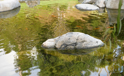 ripple