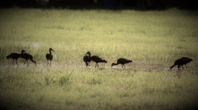 February 2017 Pictures
