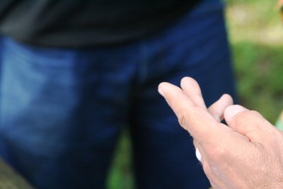 Hummingbird Banding at Brazos Bend State Park