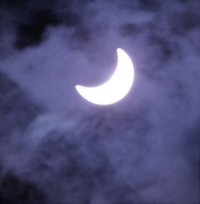 The Great American Eclipse at Brazos Bend State Park, Texas