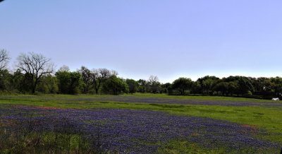 March 2018 Pictures