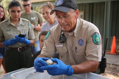 Alligator Hatching Today at Brazos Bend State Park