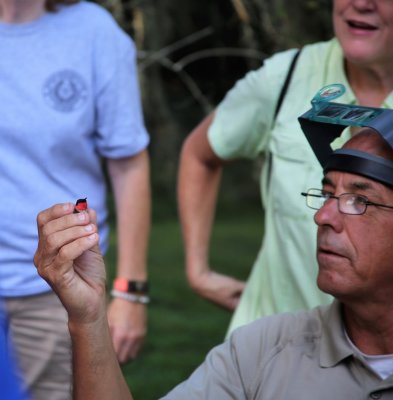 Hummingbird branding today at Brazos Bend State Park