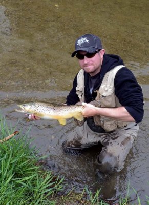 BrownTrout119.jpg