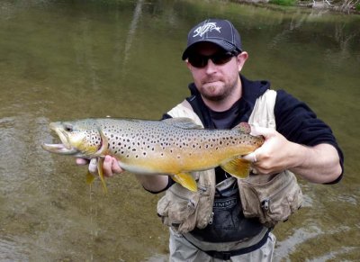 BrownTrout120.jpg