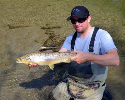 BrownTrout163.jpg