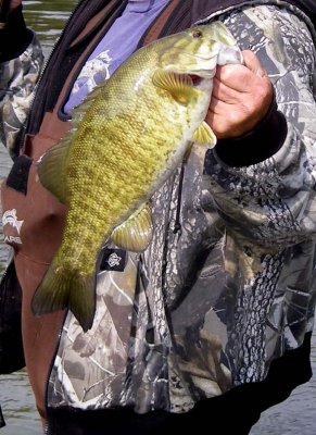 SmallmouthBass36.jpg