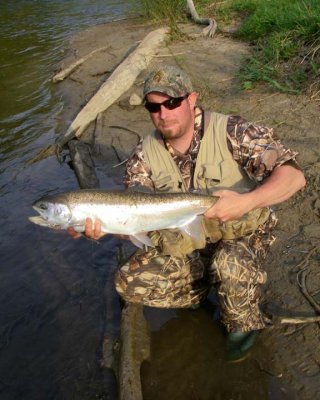 Steelhead191.jpg