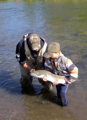 Steelhead220.jpg