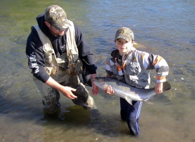 Steelhead221.jpg