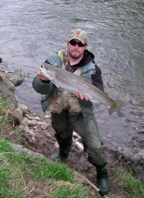 Steelhead244.jpg