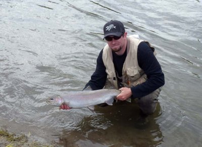 Steelhead269.jpg