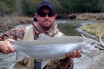 Steelhead346.jpg