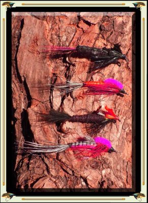 SteelheadNymphs5F.jpg