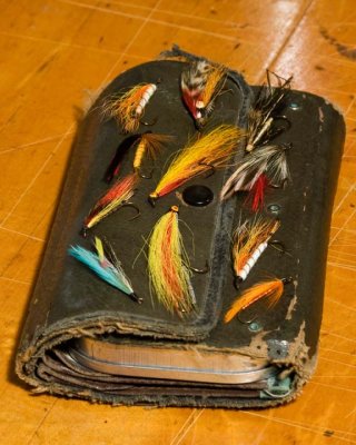 VeryOldFlies1R.jpg