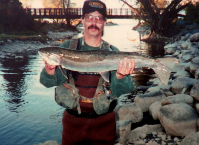 Steelhead489.jpg