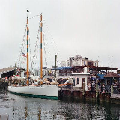 America's Cup racer