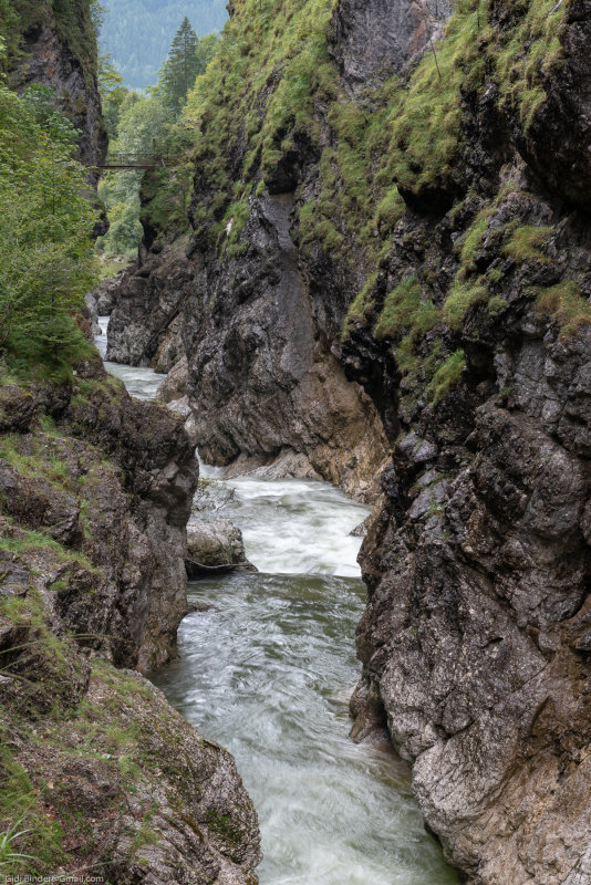 20180831-958.jpg