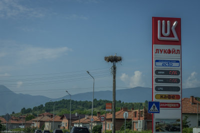 20170607-351.jpg