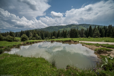 20170607-484.jpg