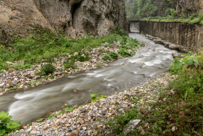 20170608-629.jpg