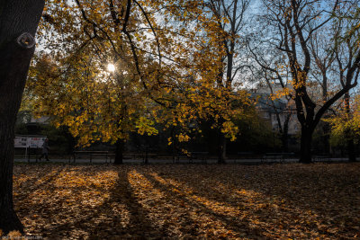 20181108-147-Edit.jpg