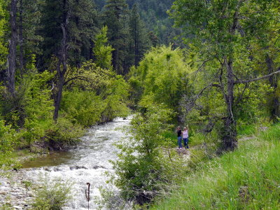 Drive Through Spearfish Canyon