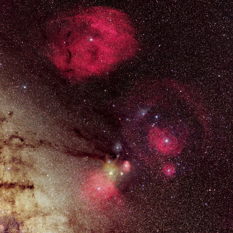 Rho Ophiuchi and Gum Nebula 