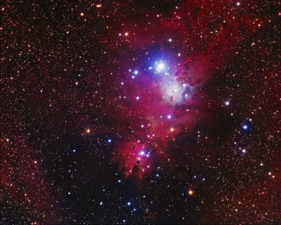 The Cone Nebula and Fox Fur Nebula