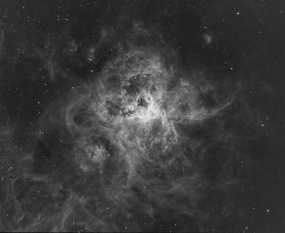 Tarantula Nebula in Ha
