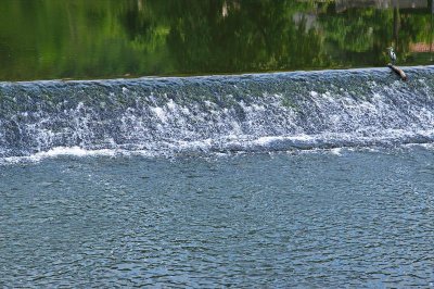 Weir on the Lot