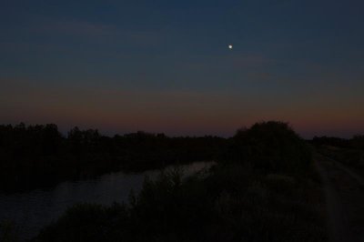 Moon over the Camargue