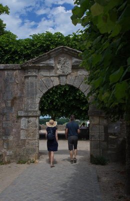 Gardens in Chartres 