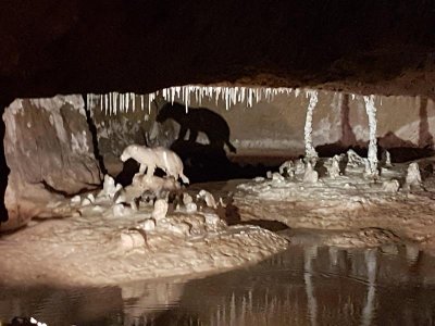 Les Grottes Ptrifiantes