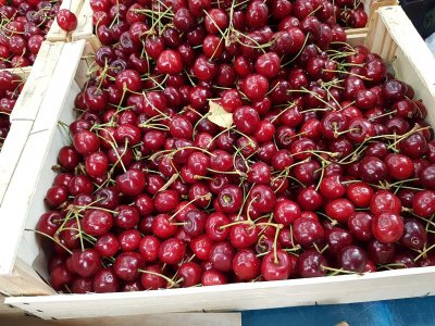 Cherries at the market