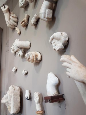 Muse Rodin