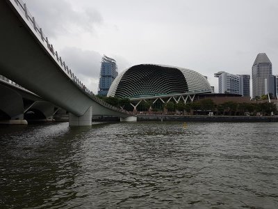 Boat ride around the harbour