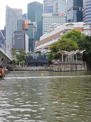 Boat ride around the harbour