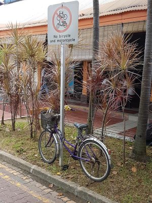 20170706_142307 (Copy).jpg