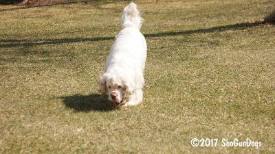 Vivian  170324 020.jpg