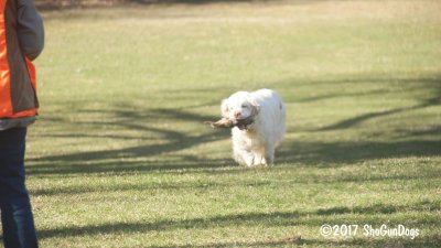 Vivian  170328 001.jpg