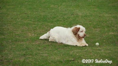 Benson 170415 004.jpg