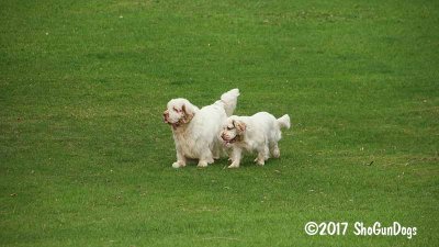 Benson and Jolene 170415 004.jpg