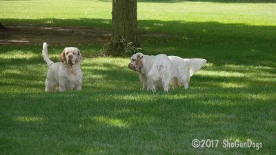 Benson, Horace and Jolene  170809 014.jpg