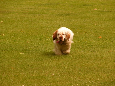 Oliver  050612 022.jpg