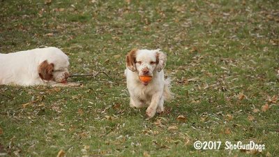 Benson and Gigi  171119 003.jpg