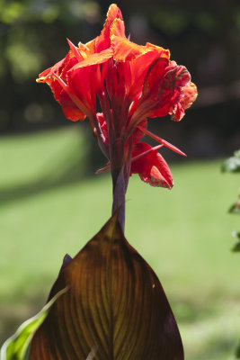 20130630_1707 copy.jpg