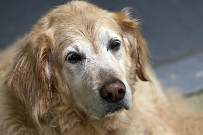 max (10 yrs)