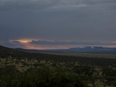 serengeti national park, tanzania
