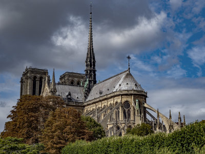 cathedral of norte dame - paris, france